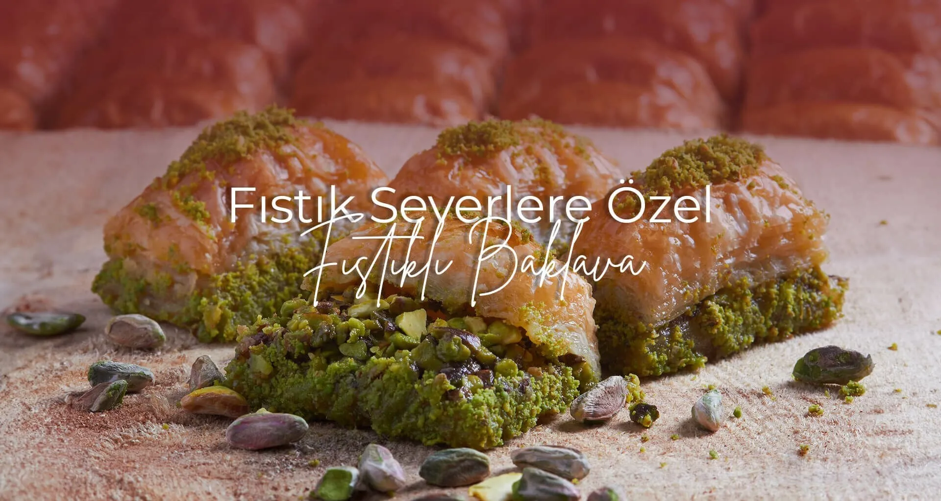 Hacı Levent Tesisler